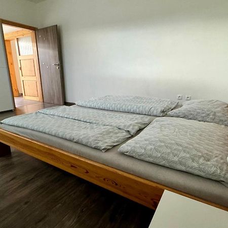 Apartman Lilly Borovany  Eksteriør bilde